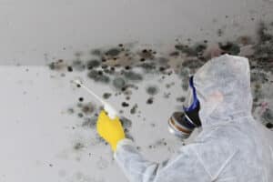 Mold Patrol provides professional mold removal services for Greensboro, NC.